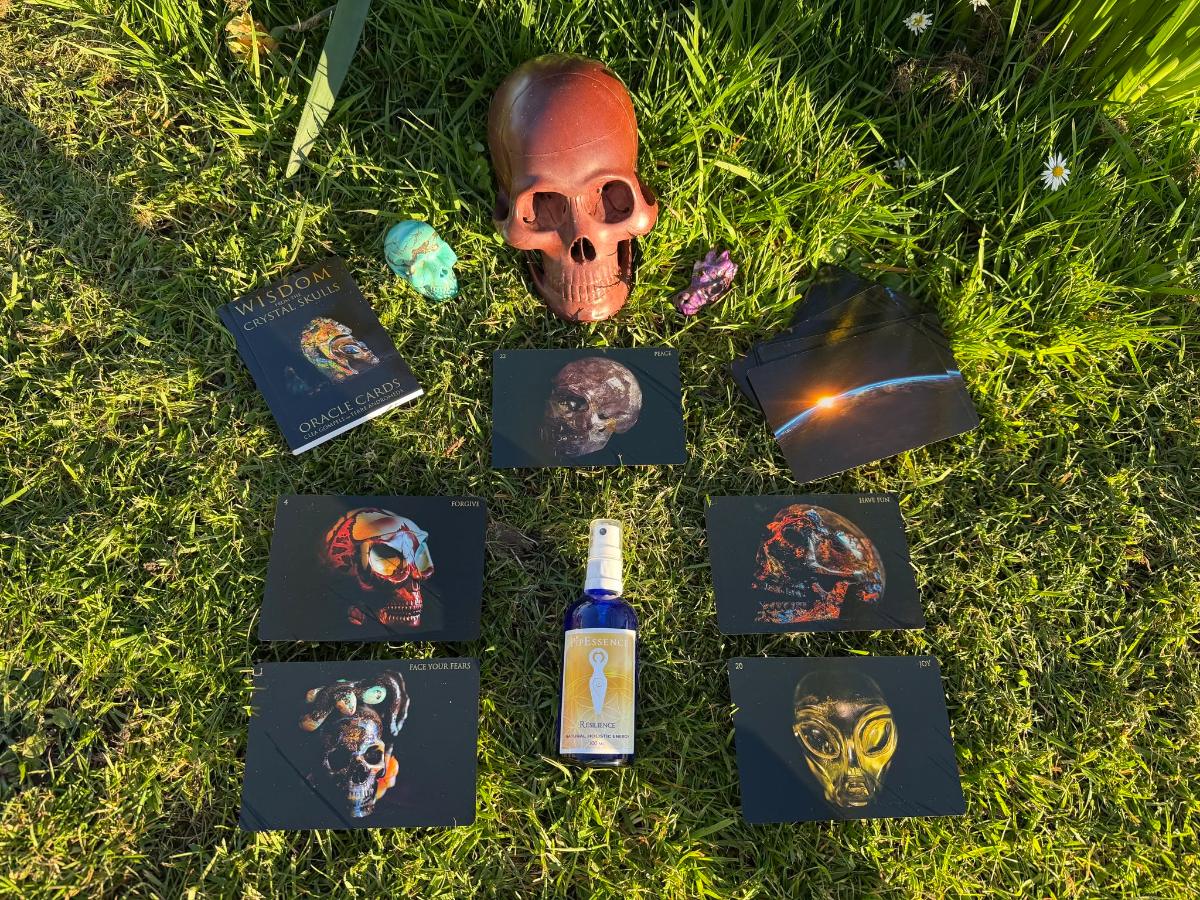 A spread laid out in the grass