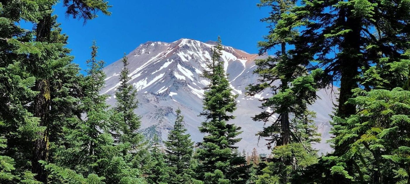Mount Shasta